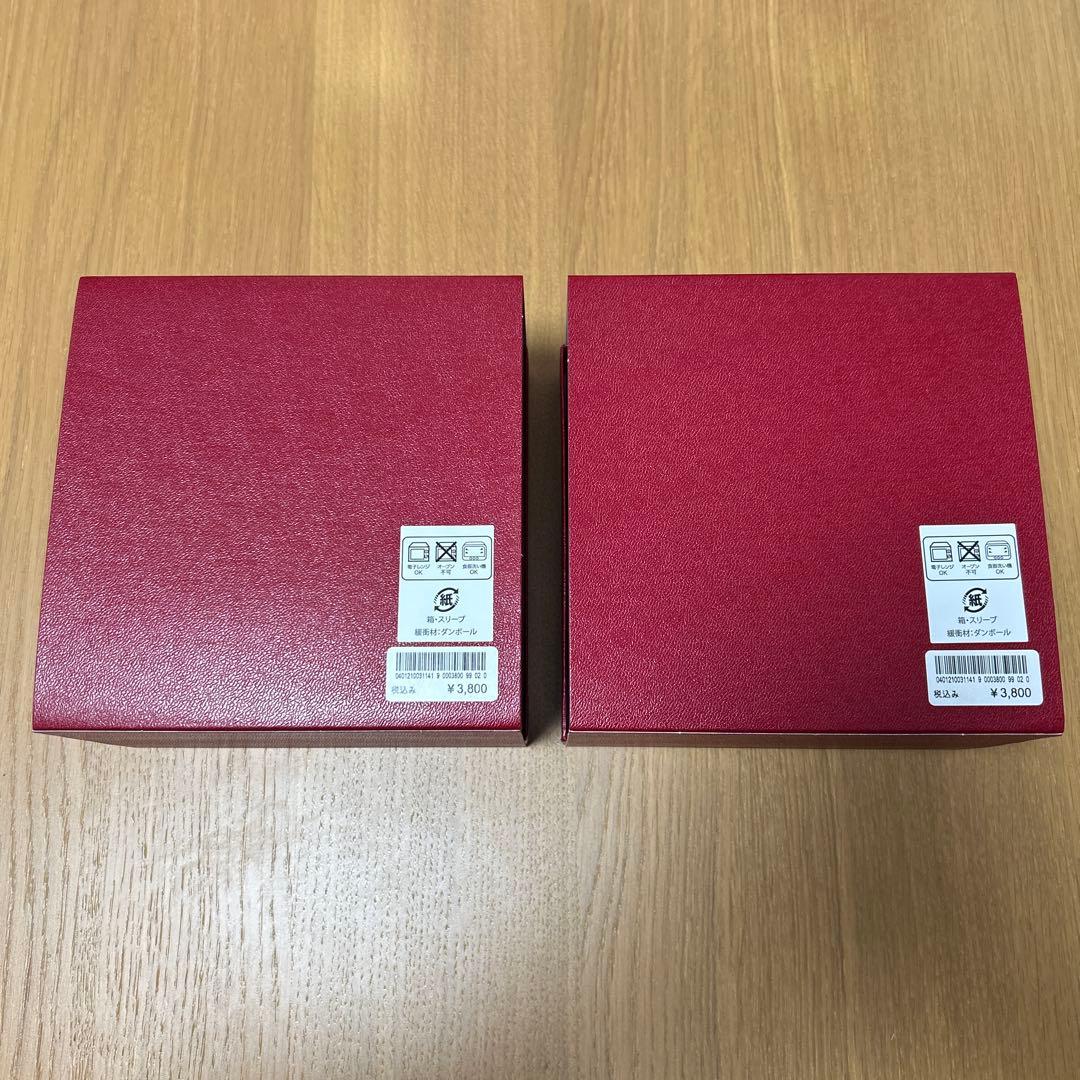 ファンタジースプリングス　エルサ　カップ・ソーサー2セット　プレート2枚