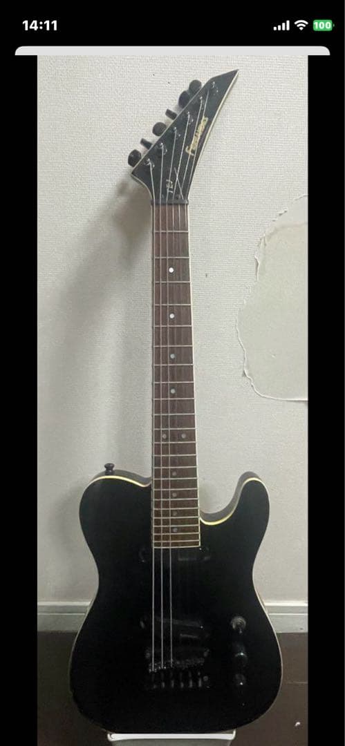 早い者勝ち FERNANDES mini TEJ