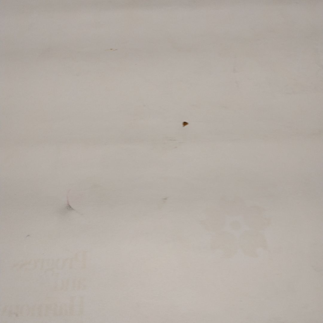 1970年 大阪万博 海外向け公式ポスター　亀倉雄策　状態良好　極美品 ②