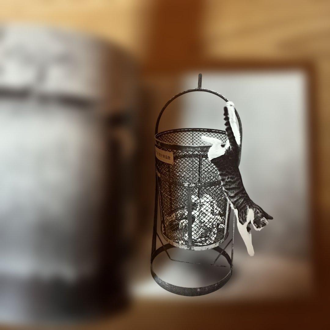 深瀬昌久　サスケ!!いとしき猫よ　写真集