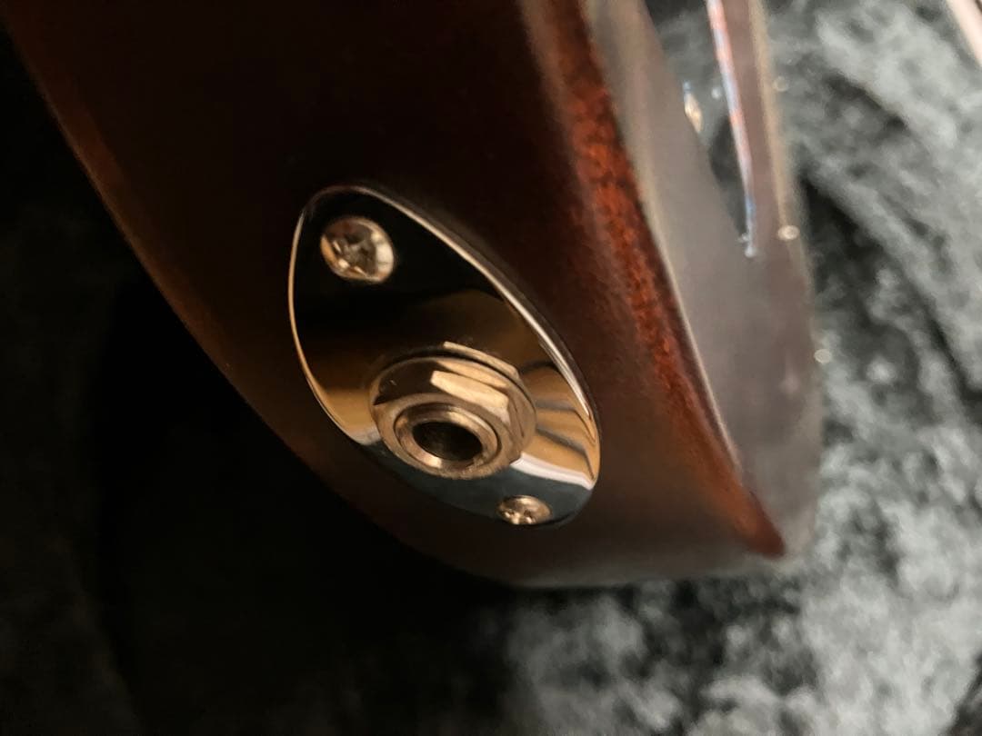 パニはげ ESP INORAN ILP-00 DRAGON