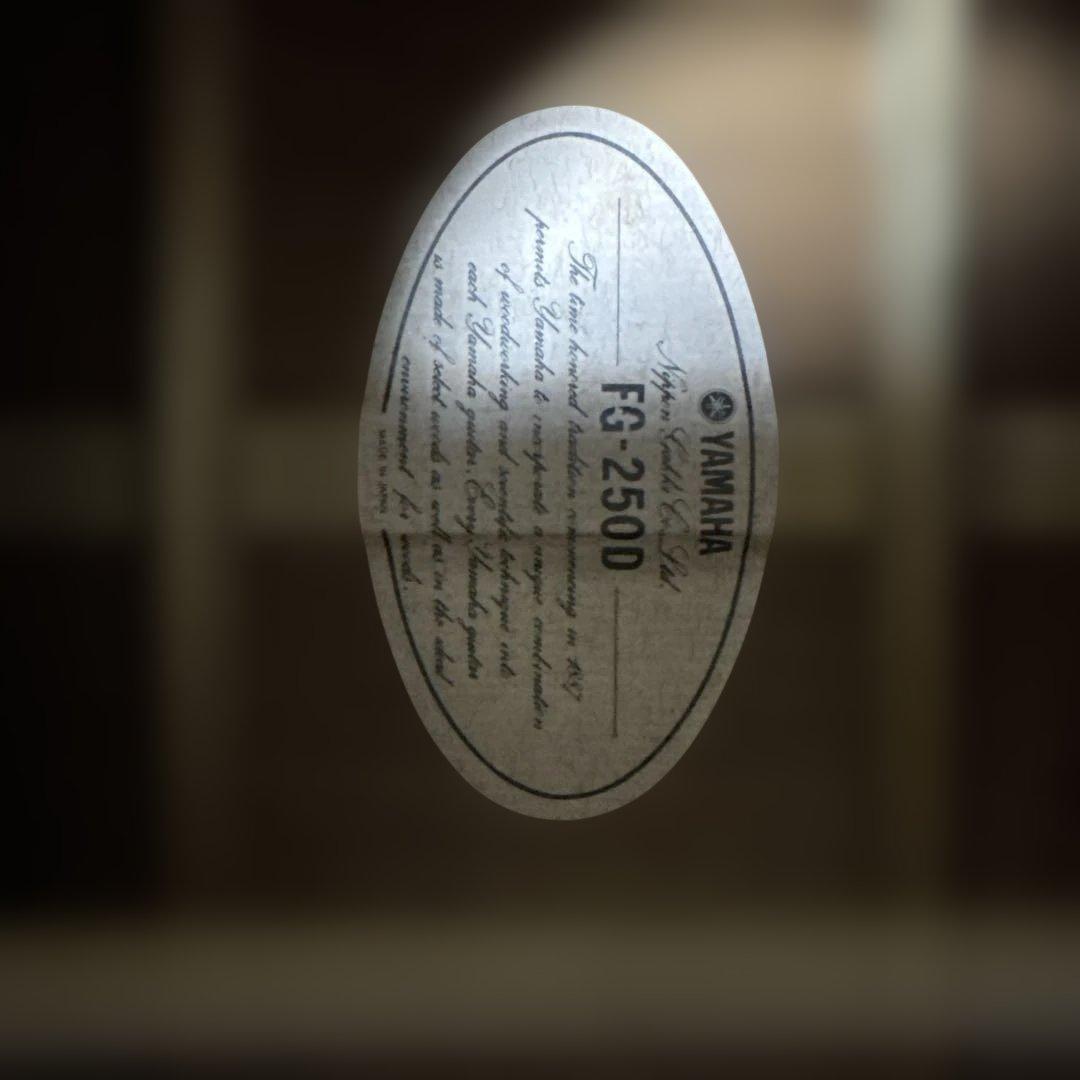 アコースティックギター スプルースボディ 6弦