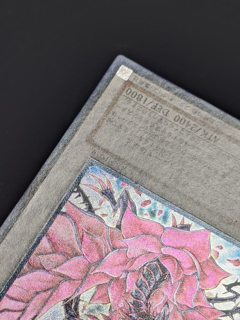 ブラック・ローズ・ドラゴン ブラックローズドラゴン レリーフ