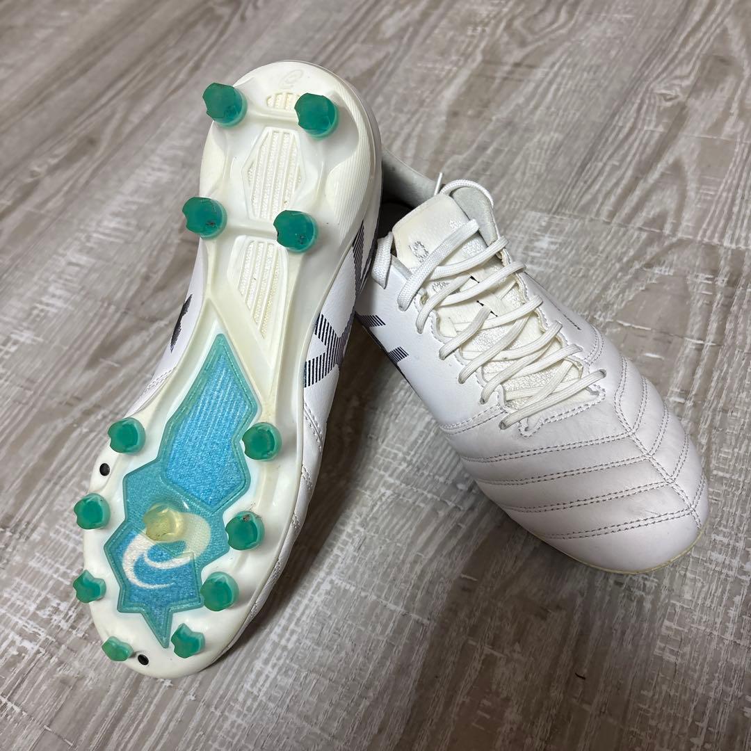 アシックス　DS LIGHT X-FLY PRO 25.0cm