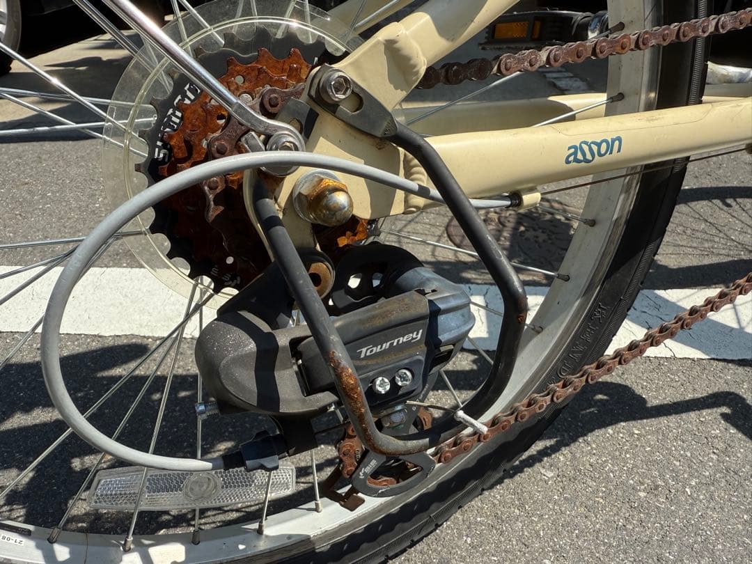 【コーダブルーム Asson J22／22インチ】マットグレーベージュ