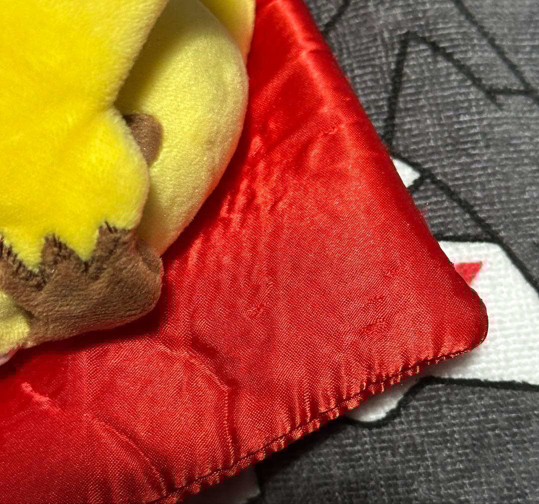 マンスリーペアピカチュウ 2017年 1月