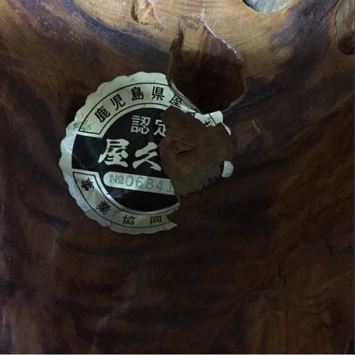 値下げ‼︎超貴重‼︎屋久杉