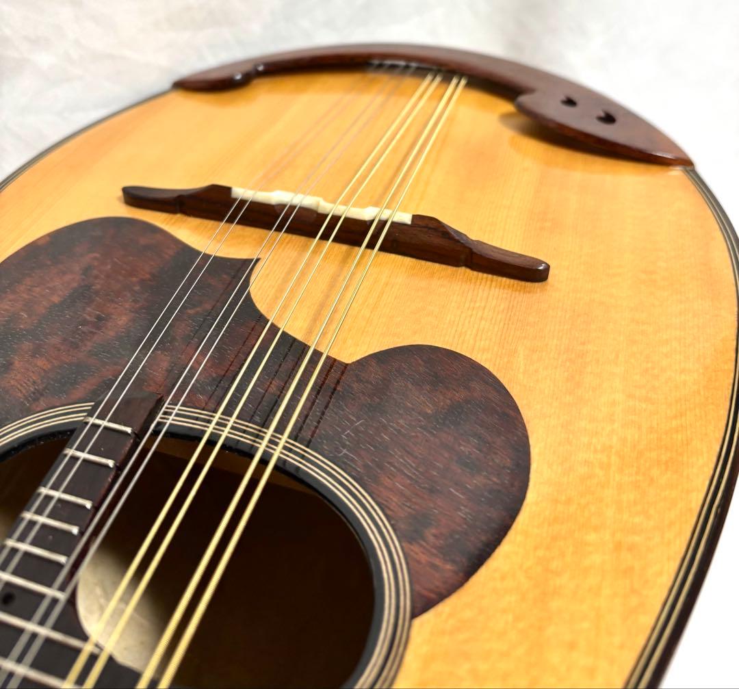 【新品弦張替済】SUZUKI マンドリン M-30 チューナー/ピック/ケース