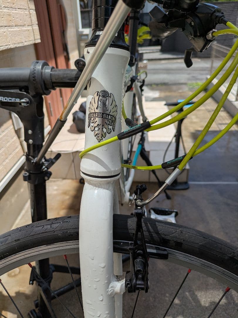 【引き渡し限定】ビアンキカメレオンテ2014年