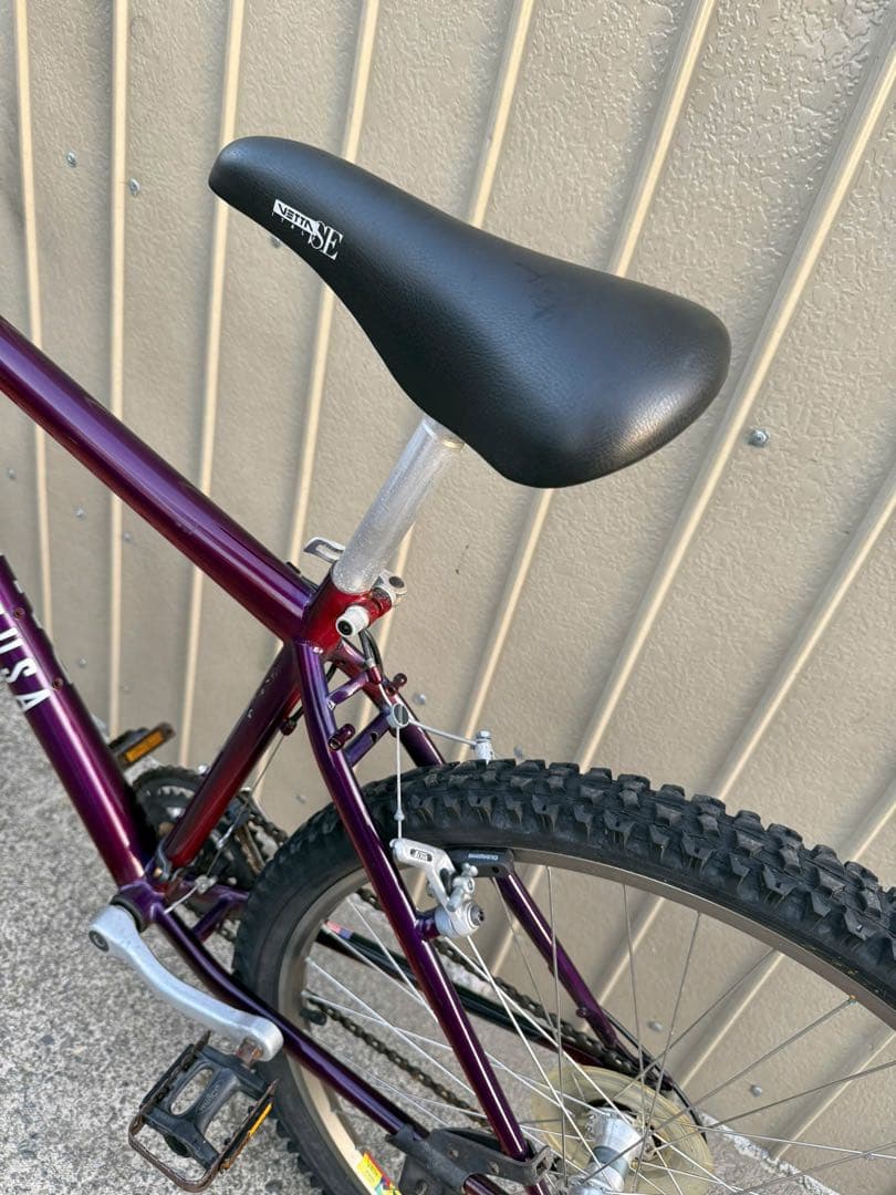 自転車本体 Raleigh USA