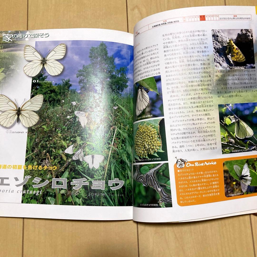 絵本まとめ売り70冊以上