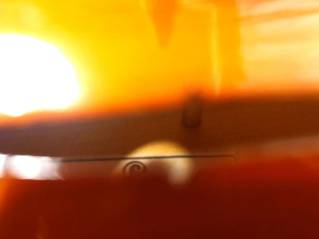 【希少品・左利き用】バイオリン 4/4 大人用 CECILIO CVN-320L