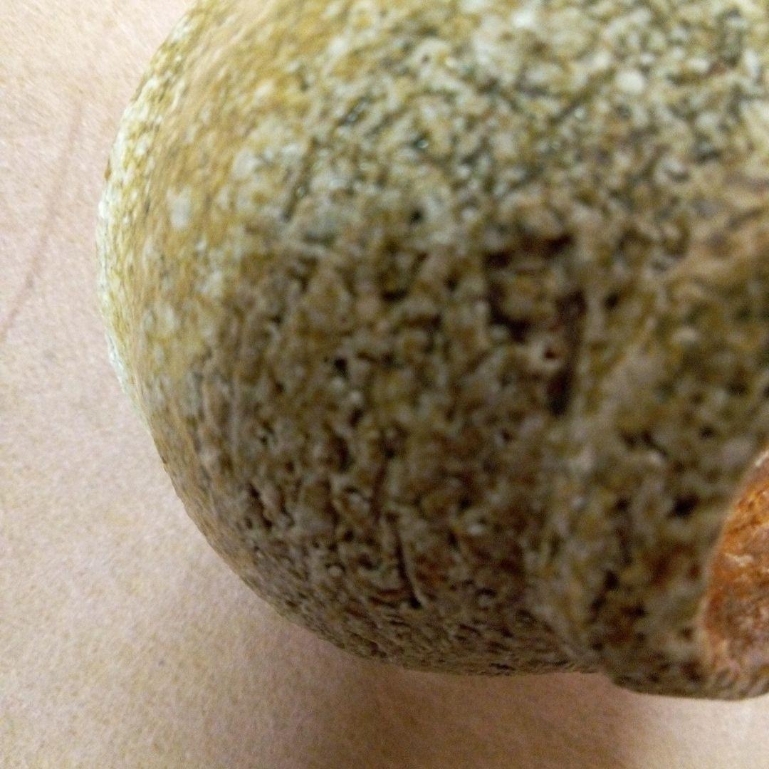 島岡達三　(人間国宝)　ぐい呑　古美術　アンティーク　共箱