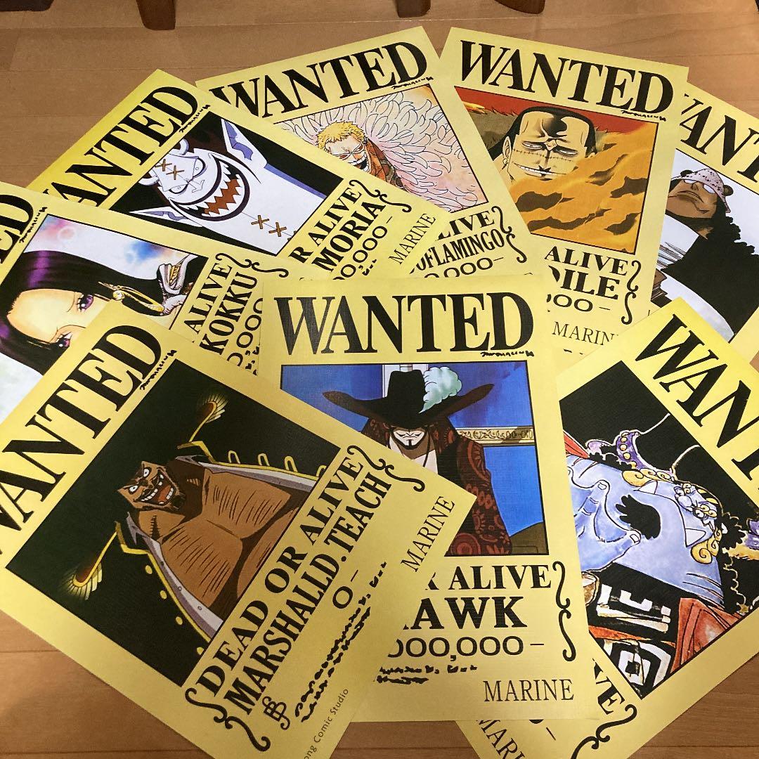 最終値下げ　ワンピース　手配書　ポスター　19枚セット