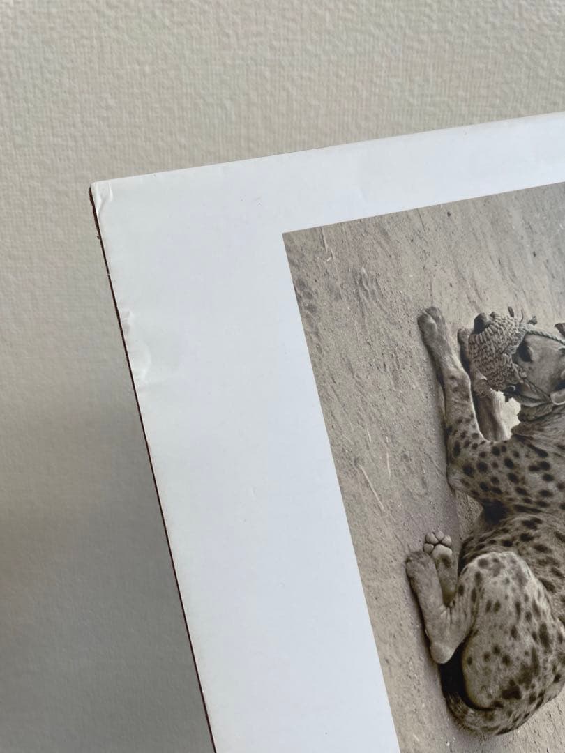 アート・デザイン・音楽 THE HYENA & OTHER MEN