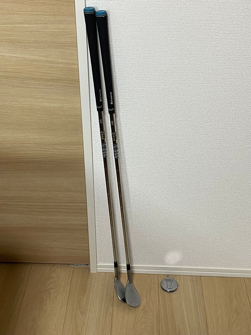 キャスコ ドルフィンウェッジ DW-118 52° 58° 2本セット S200
