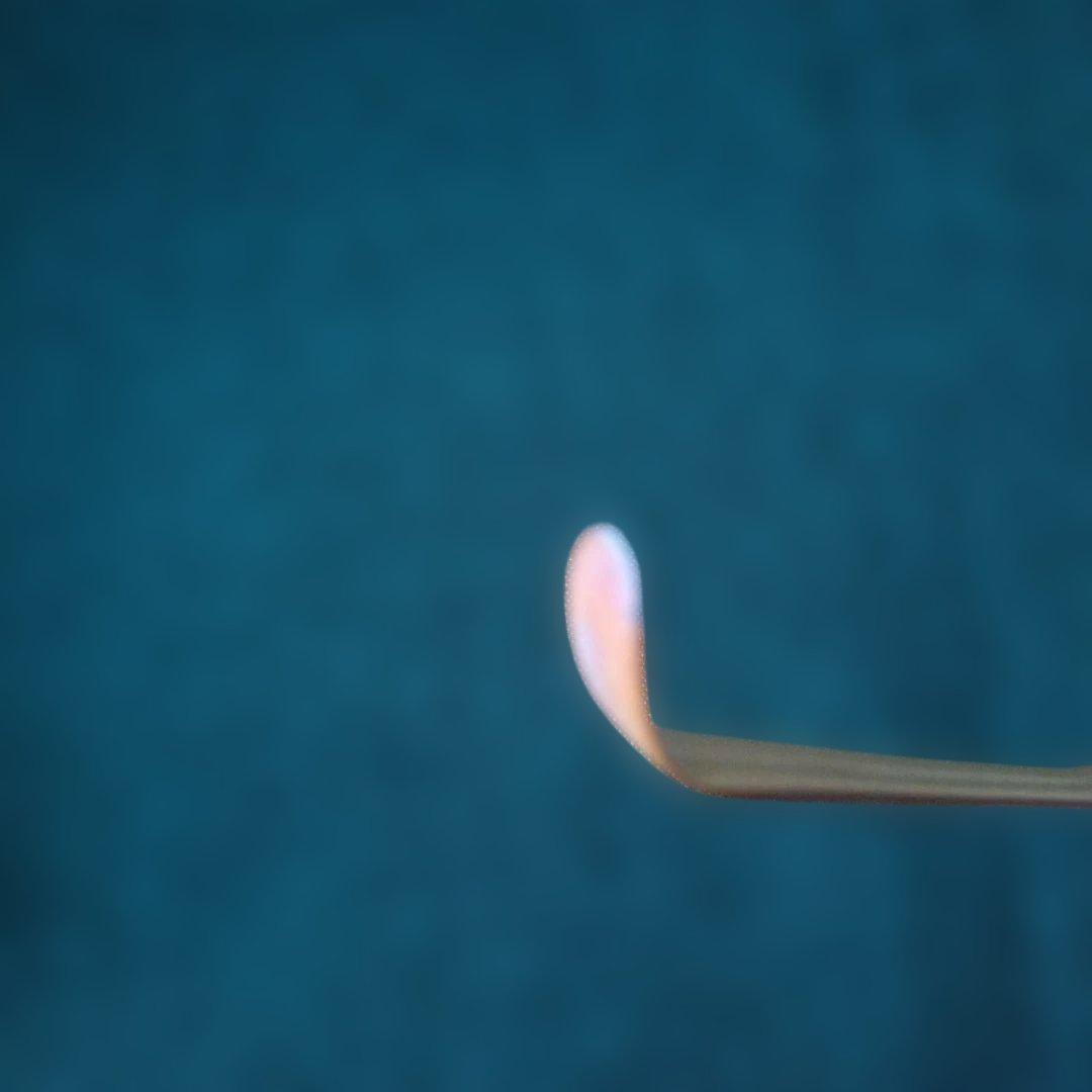 ラッキー　竹製 茶杓 専用ケース付き