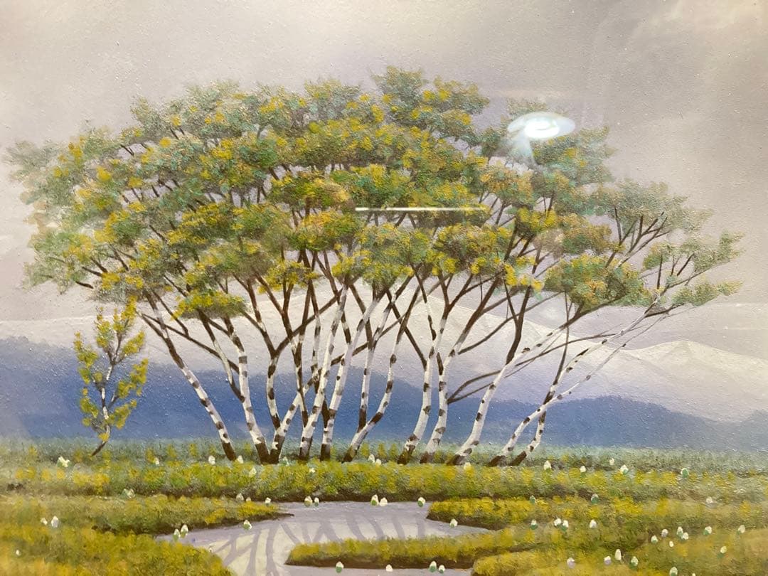 沢田契『尾瀬の朝』P10号／額装 絵画 東美社