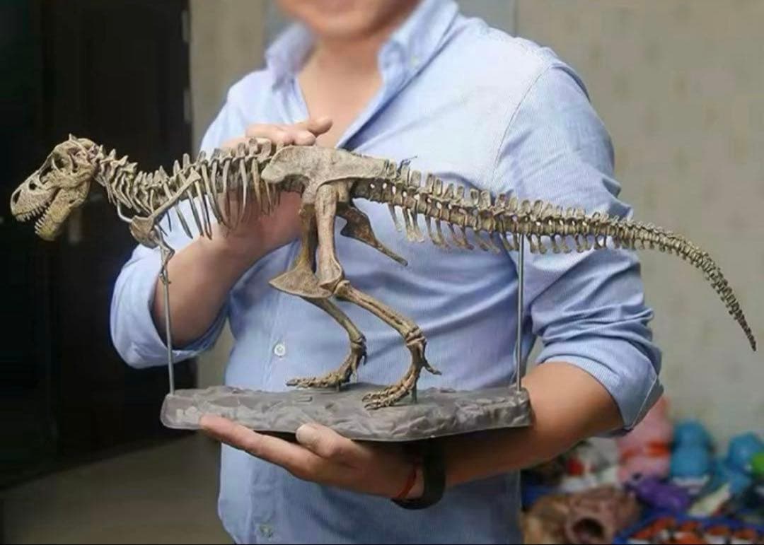 ジュラシックワールド 恐竜 化石 フィギュア。