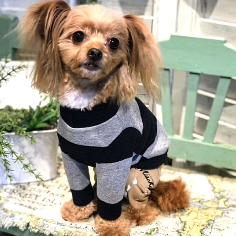 ビッグBDハイネック+パンツ　asknowasdewanアズノゥアズデワン