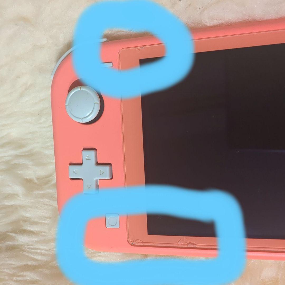 Nintendo Switch ライト 充電器付 画面保護あり