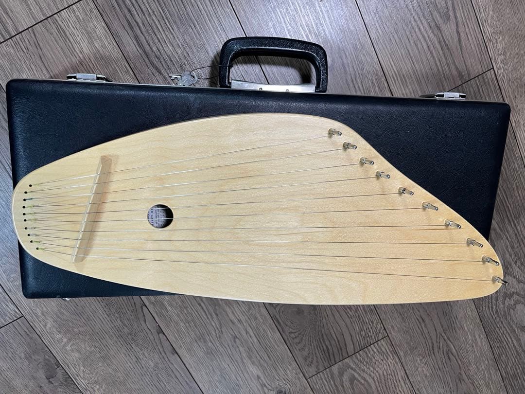 【最終値下】ゲルトナーカンテレ10弦