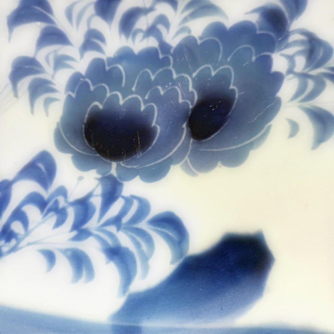 幕末染付け垣根蝶々牡丹花手書き皿　5皿セット