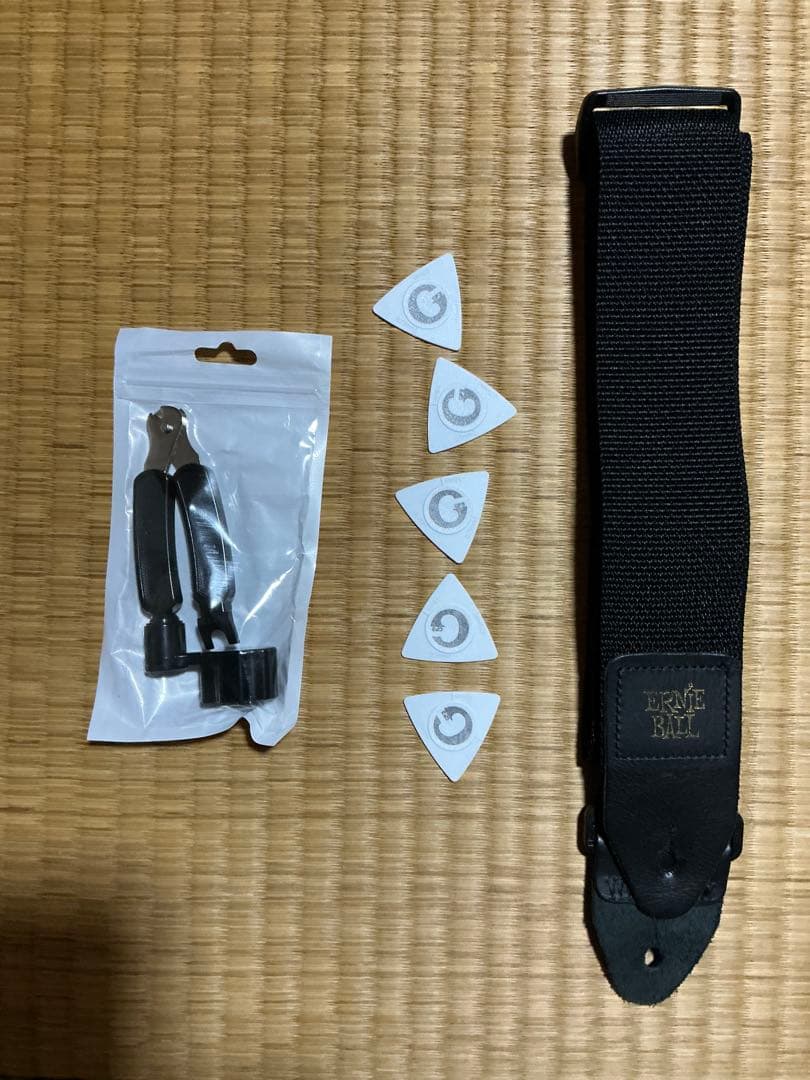 [美品・最終値下げ]Epiphone Les Paul Standard 60s