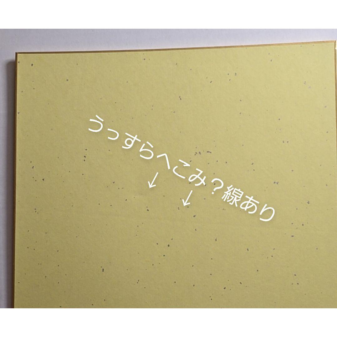 未使用　垂水優芽　色紙　バレーボール男子日本代表　男子バレー　チステルナ　福袋