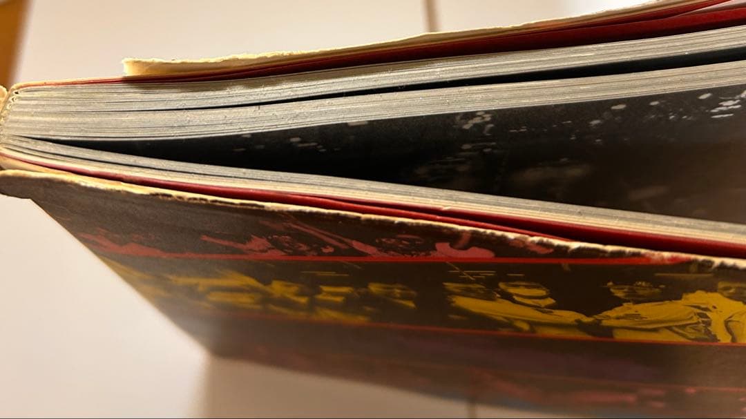 止められるか 俺たちを ONE NIGHT CARNIVAL写真集 暴走族