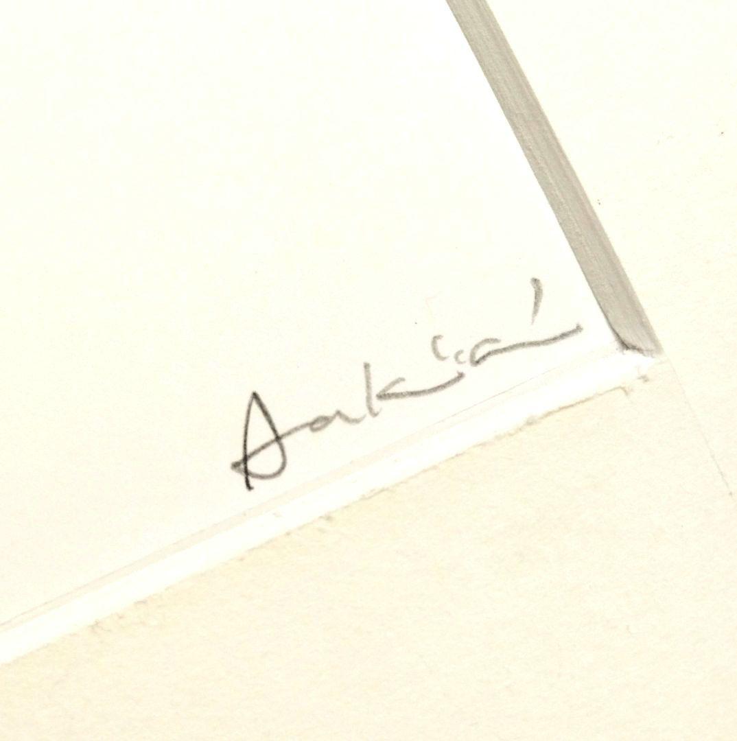 ☆ 柴原幸智 極細ペン画 原画