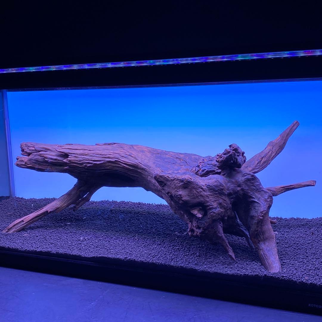 MRW-6567 特大自立赤系流木　1点物　自立流木　一点物90cm水槽用