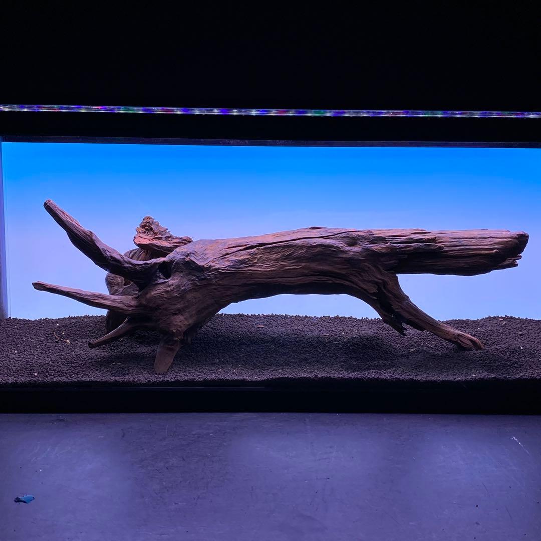 MRW-6567 特大自立赤系流木　1点物　自立流木　一点物90cm水槽用