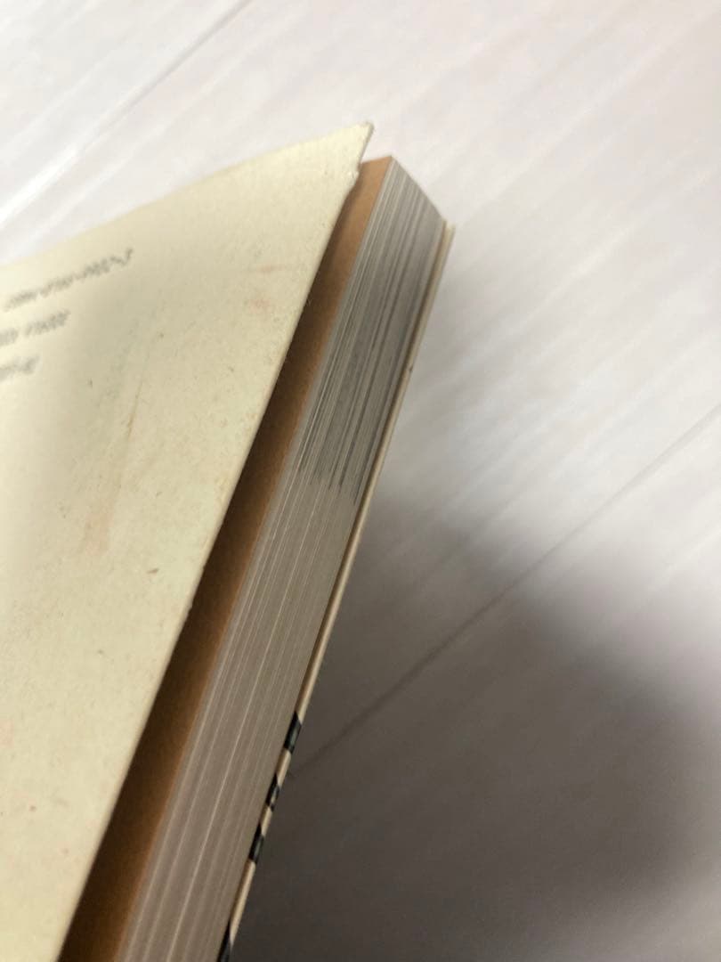 ユーラシア大陸放浪途上 (旅行ガイドにないアジアを歩く) 澤村浩行 梨の木舎