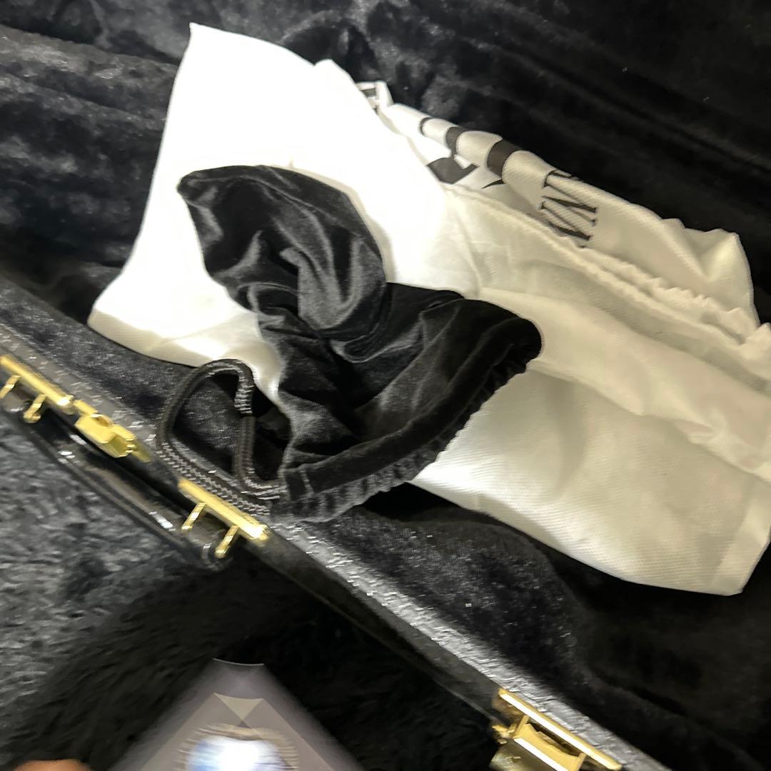 CANNONBALL アルトサックス用 ハードケース 管楽器 フライトケース