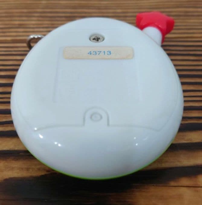 【動作確認済み】ウラじんせーエンジョイ！たまごっちプラス 《ちゃおウラたまサマー