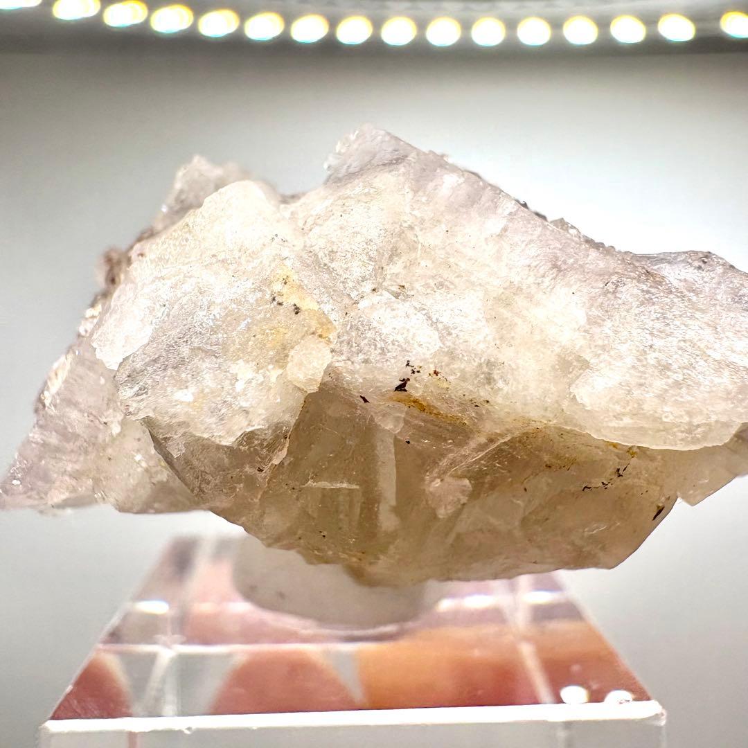 581 イギリス　シェリーツインズポケット　フローライト