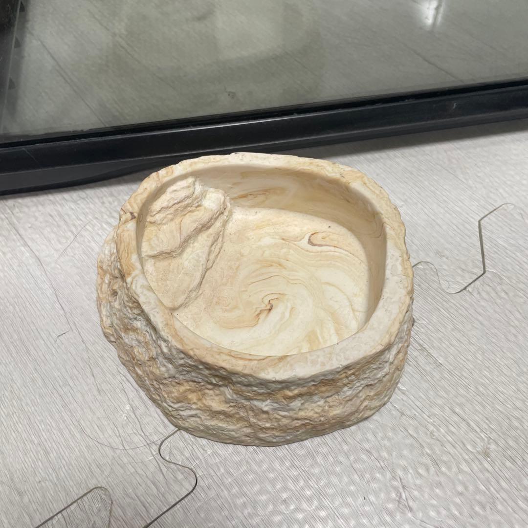 グラステラリウム【レオパ飼育セット】