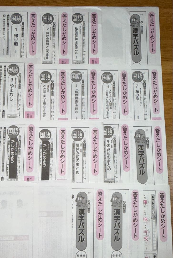 光文書院★小学6年　小6 国語カラーテスト　答えたしかめシート２０枚　令和５年