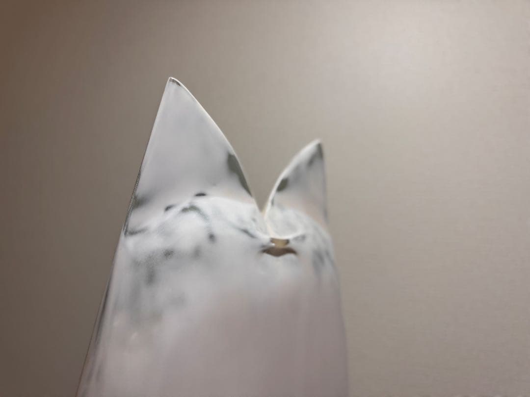 配送可送料無料　 xenosurfboard フレックステール　フィッシュ