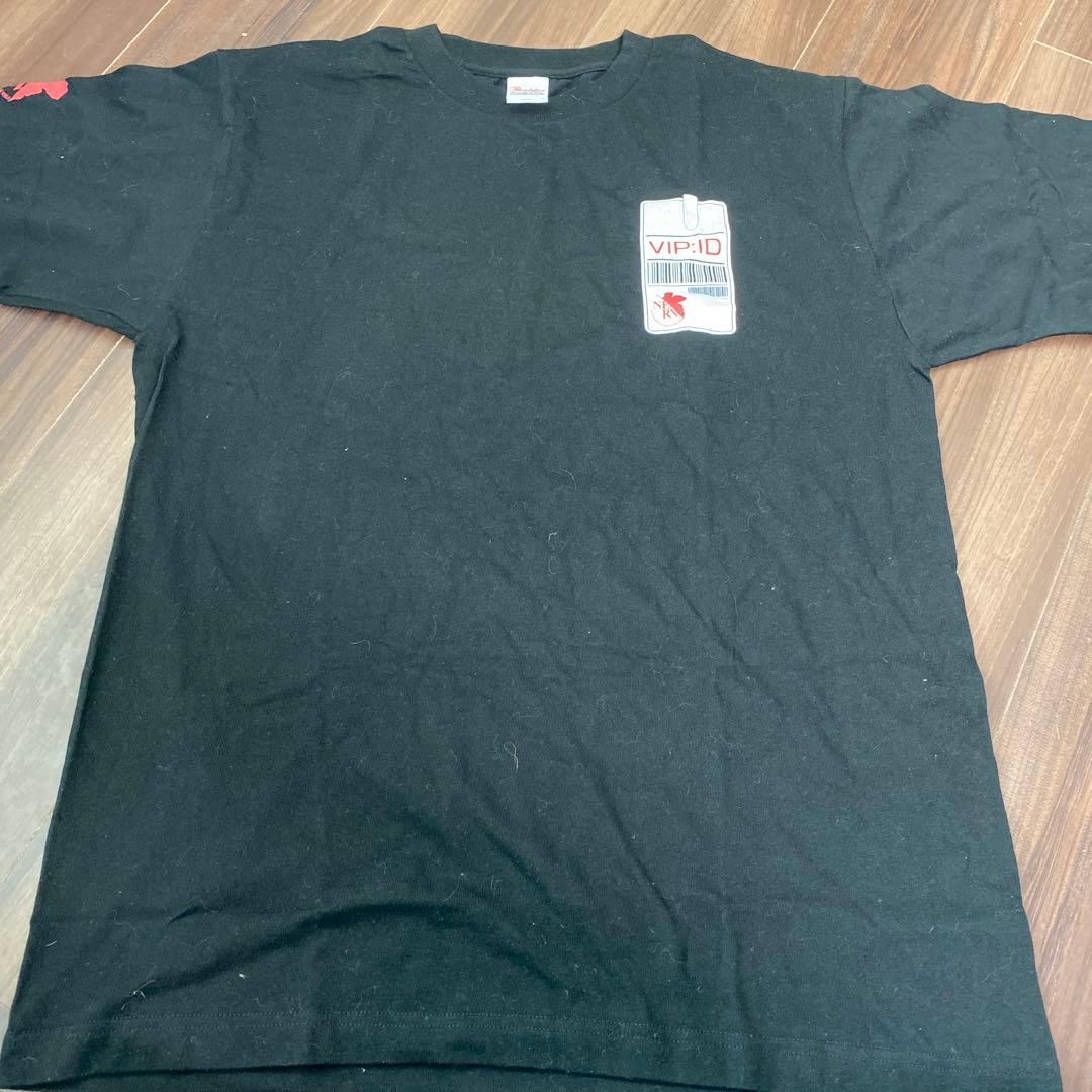 ヱヴァンゲリヲン序　DVD 綾波レイフィルム付き