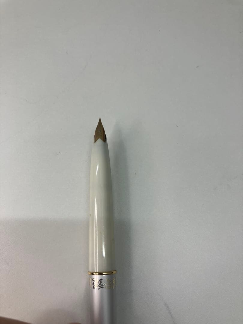 万年筆2本セット ペン先14K PLATINUM プラチナム　14K【A916】