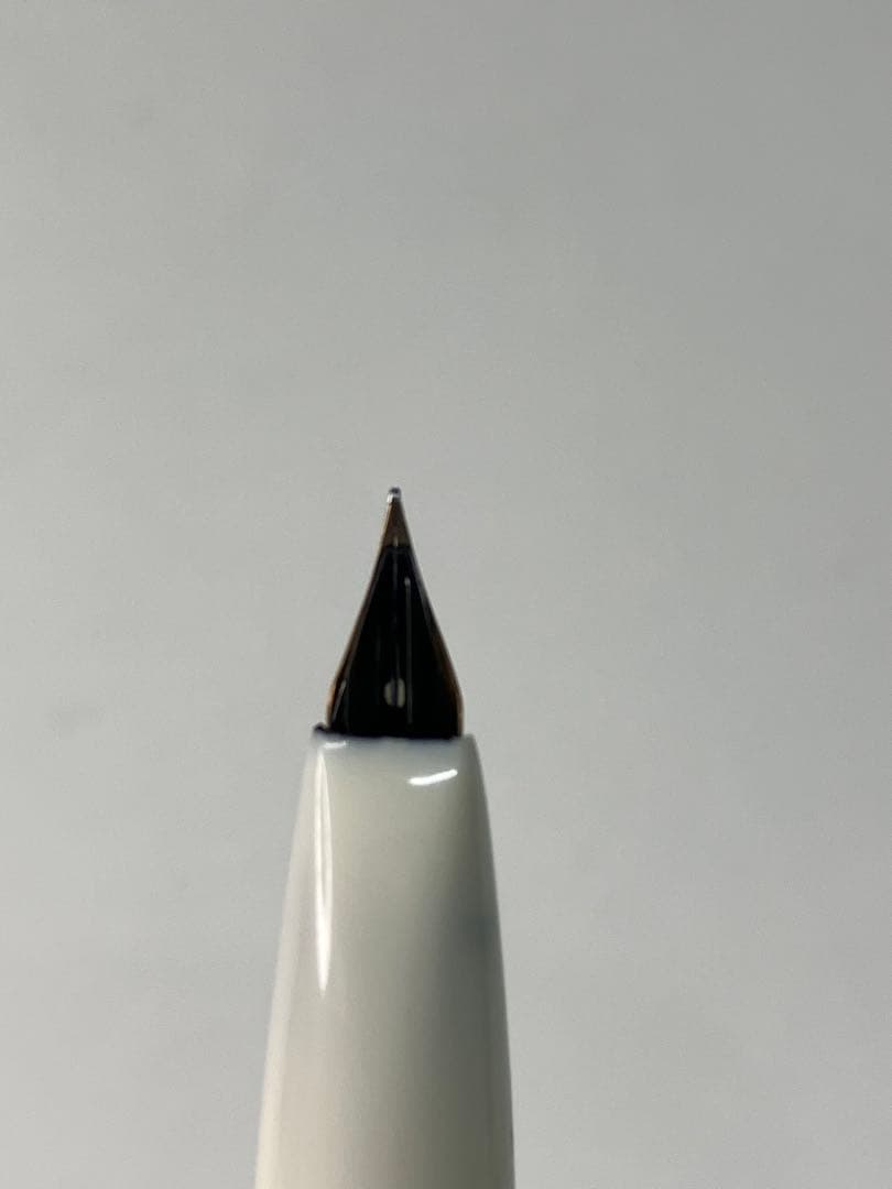 万年筆2本セット ペン先14K PLATINUM プラチナム　14K【A916】