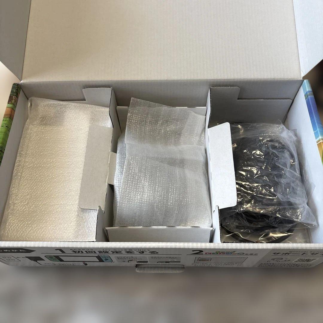 Nintendo Switch どうぶつの森セット 完品 本体ケース付き