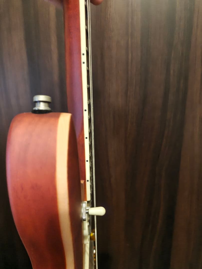 ギター PRS McCarty 594 SE Laurel Burl Limited