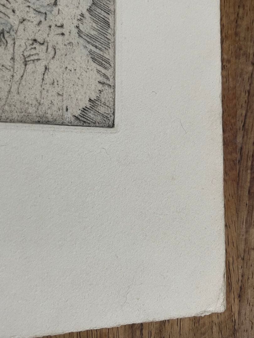 版画　ウィーン サンシュテファン寺院