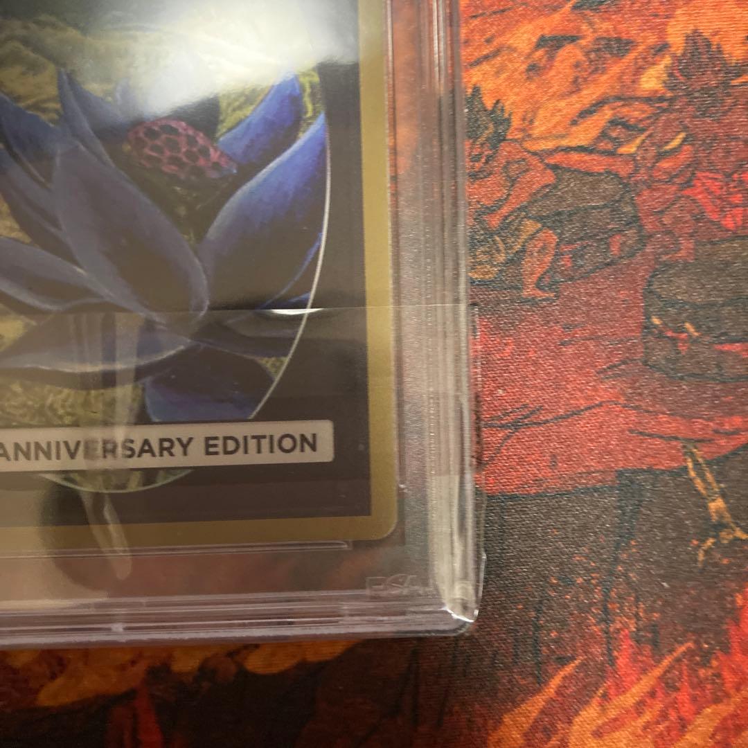 PSA10 新枠 旧枠 2枚セット Lord of the Pit 30th