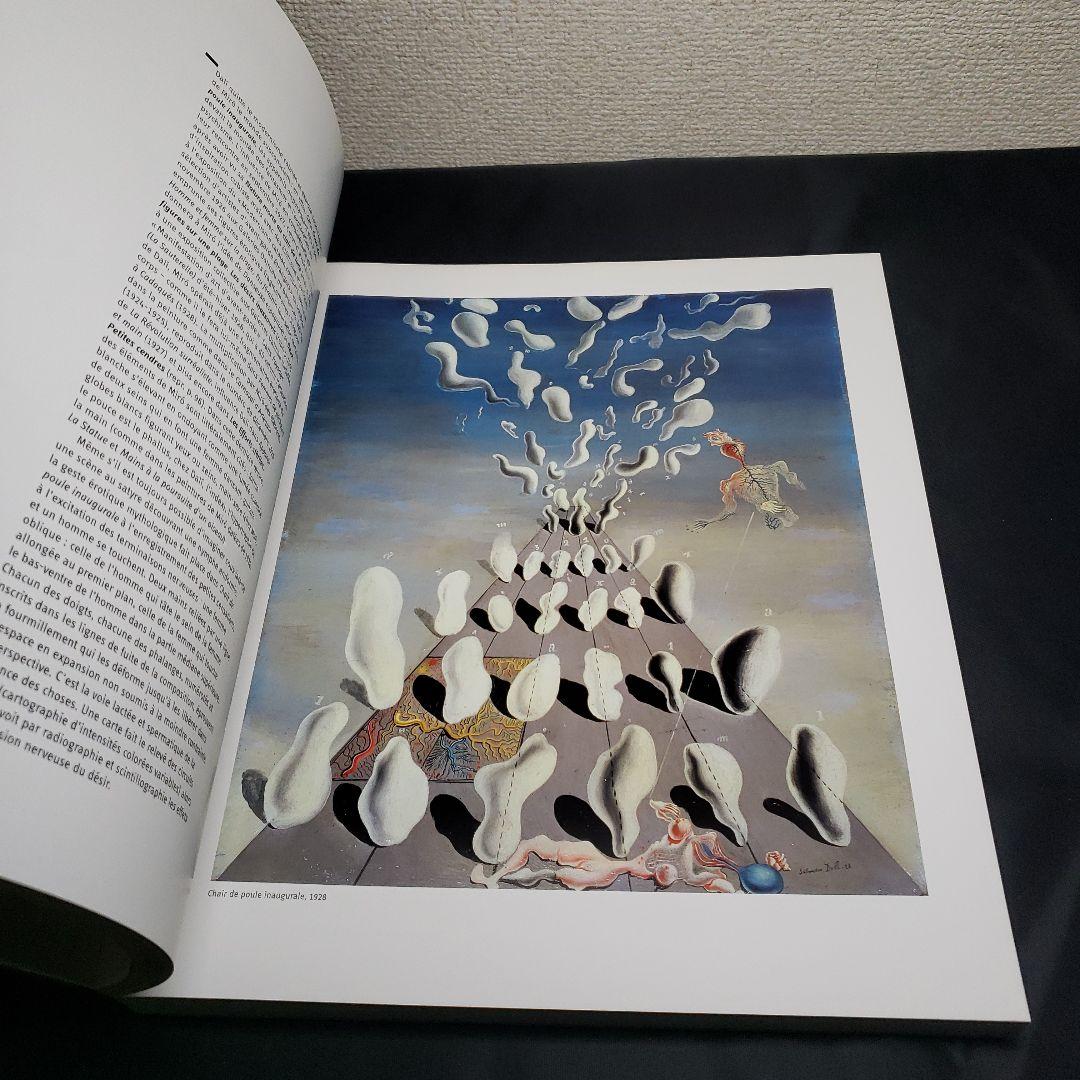 art]ポンピドゥー　ダリ展　DALÍ 図録