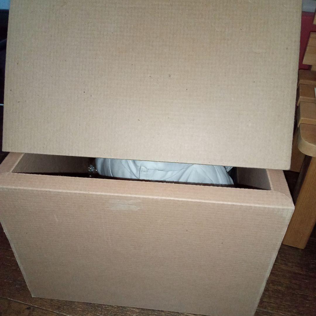 シュタイフ　マドモアゼルアイコ