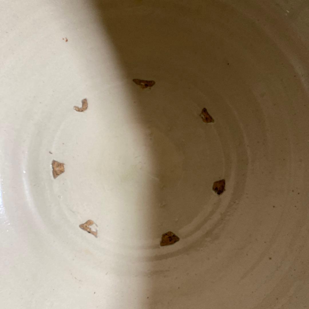 睡蓮鉢　メダカ鉢　大鉢